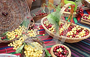 White and red cherries in wicker basket, cherry festival. Selective focus