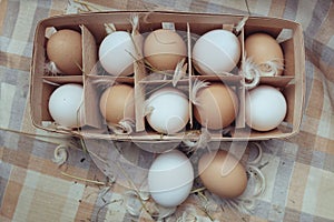 White and red chicken eggs