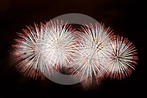 White and red fireworks display on dark sky background