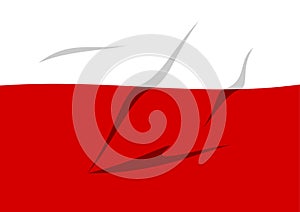 White red flag national colors of flag of Poland