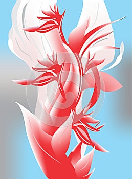 white and red flower,