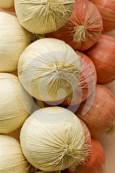 White and Red Garlic Bulbs