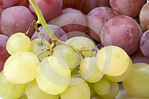White and red grapes