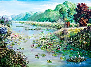 White and Red lotus in the river of oil painting