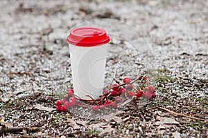 White and red paper cup of coffee on the ground with rowanberry