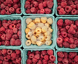 White and Red Raspberries in a New York Farmers Market