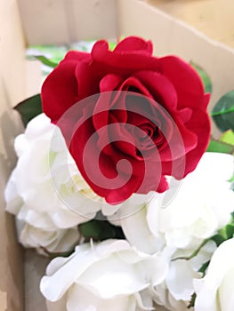 White and red rose flower arrangement Beautiful bouquet handmade artificial background symbol love Valentine Day