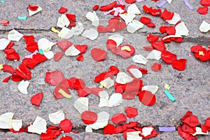 White and red rose petals on the asphalt