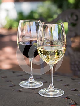 White and red South African wines in glasses in a garden photo