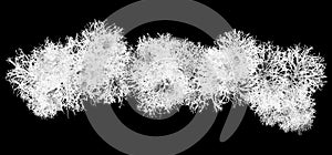 White Reindeer Lichen Spawn Fiber Plexus Filament Wad Cluster