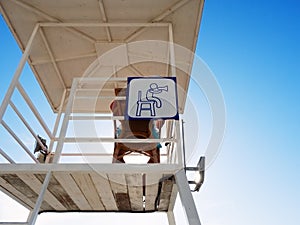 A white rescue tower with a lifeguard sitting in it and a white-blue sign attached to it