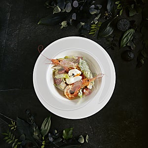 White Restaurant Plate of Caesar Salad with Shrimps, Chicken, Croutons, Tomatoes, Cucumbers Top View