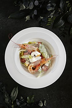 White Restaurant Plate of Caesar Salad with Shrimps, Chicken, Croutons, Tomatoes, Cucumbers Top View