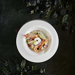 White Restaurant Plate of Caesar Salad with Shrimps, Chicken, Croutons, Tomatoes, Cucumbers Top View