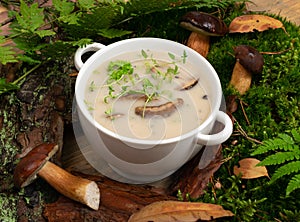 White Restaurant Plate with Cream Boletus Mushroom Soup