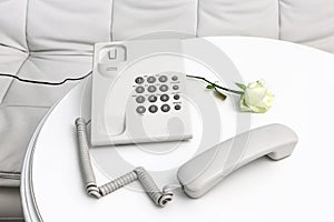 White retro landline phone and fresh white rose on a wooden white round table. Handset lying separately. It is disconnected