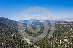 White Ribbon of Highway in Forest