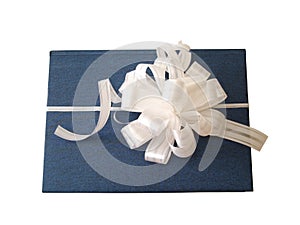 White ribbon tied blue book