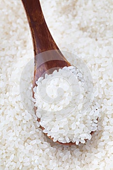 White rice