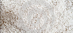 White rice grains. Resulted by Oryza sativa plant.