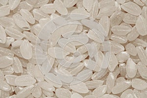 White rice macro photo