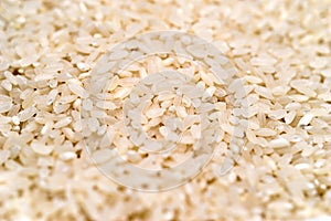 White Rice photo