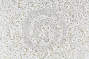 White Rice Whole Background