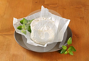 White rind cheese