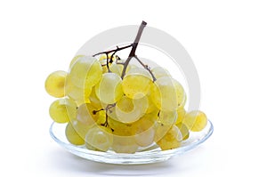 White, ripe grapes isolated on white background