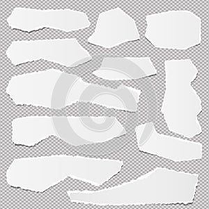 White ripped blank note paper strips for text or message stuck on gray background.