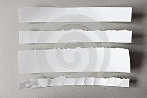 White ripped blank notes, set of pieces of torn paper on gray