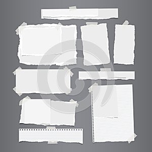 White ripped horizontal and vertical paper strips, notebook, note paper for text or message stuck with sticky tape on