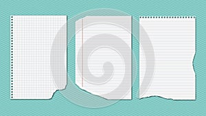 White ripped, lined and squared notebook, copybook paper sheets are on turquoise background. Vector illustration