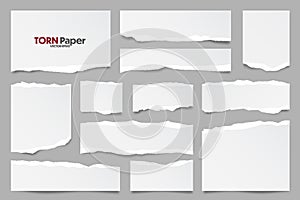 White ripped paper strips collection. Realistic paper scraps with torn edges. Sticky notes, shreds of notebook pages