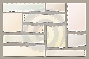 White ripped paper strips collection. Realistic paper scraps with torn edges. Sticky notes, shreds of notebook pages