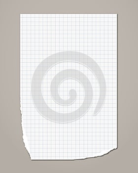 White ripped squared notebook, copybook paper sheet are on grey background. Vector illustration