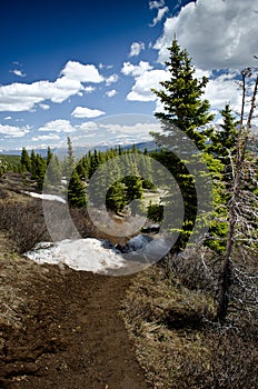 White River National Forest