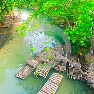 White river rafting in St. Mary, Jamaica - Ocho Rios