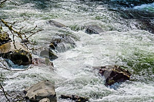 White River Rapids 7