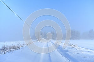 White road in north Europe ,Snowy trees