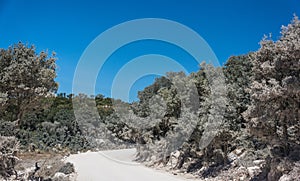 White road to Asos village. Cephalonia, Greece.