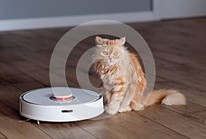 White robot vacuum cleaner washes the floor. Ginger cat
