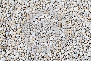 White rock river texture background. Abstract colorful mini granite crushed stones on ground texture background.