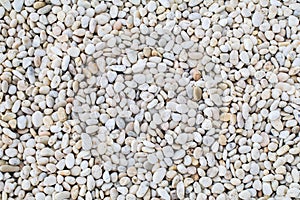 White rock river texture background. Abstract colorful mini granite crushed stones on ground texture background.