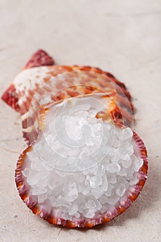 White rock sea salt in sea shell on paper