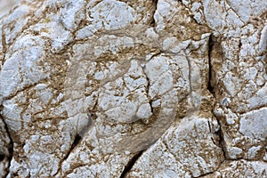 White rock surface texture with mud closeup abstract background