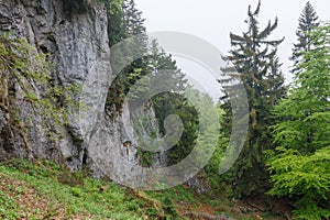 White rocks, view from mountain pass Vrata, national park Mala Fatra, Slovakia spring, cloudy day