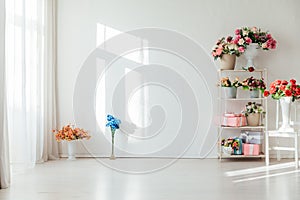 White Room Interior Shelf And Many Colors