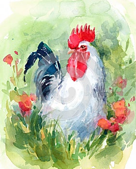 White Rooster Farm Bird surrounded by flowers Watercolor Illustration Hand Painted photo