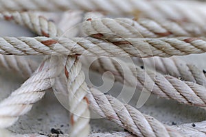 White rope on the dock